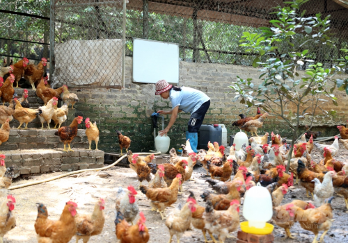 THỨC ĂN DẠNG LỎNG, GIẢI PHÁP ĐÁNG CÂN NHẮC