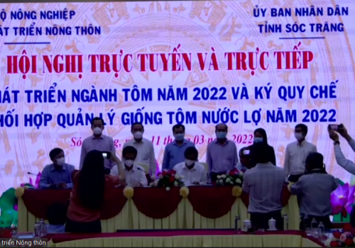 Ký kết quy chế phối hợp trong quản lý giống tôm nước lợ