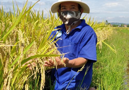 Phú Yên: Đồng Xuân triển khai mô hình cơ giới hóa hỗ trợ máy ép viên thức ăn chăn nuôi