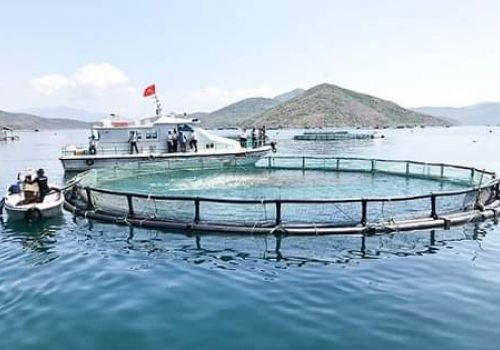 Dự kiến mức thu phí, lệ phí trong lĩnh vực quản lý vật tư nuôi trồng thủy sản