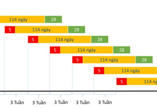Lợi ích từ việc quản lý heo nái đẻ theo nhóm 3 tuần