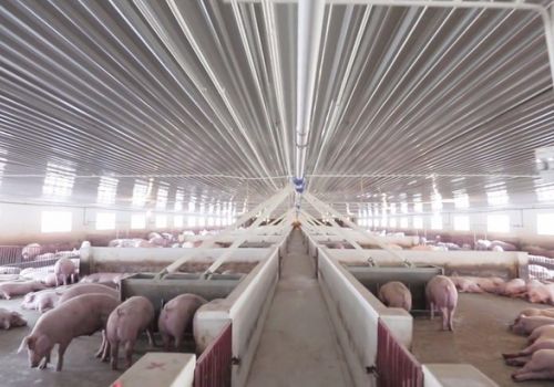 Bình Phước chấp thuận nhà đầu tư dự án trang trại chăn nuôi 100 tỷ đồng