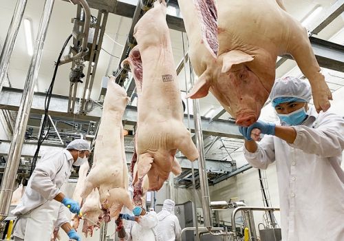 Xuất khẩu sản phẩm chăn nuôi bứt phá