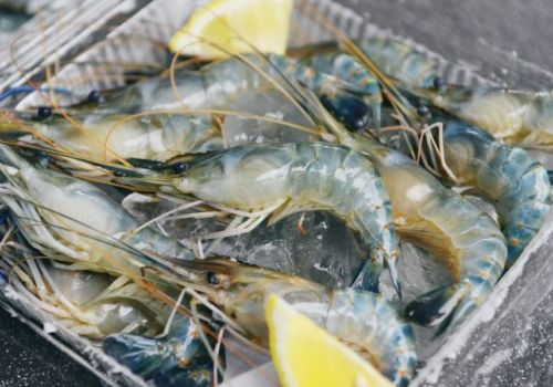 52 lô hàng thủy sản xuất khẩu bị Trung Quốc trả về, nhiều DN bị cấm không rõ thời gian