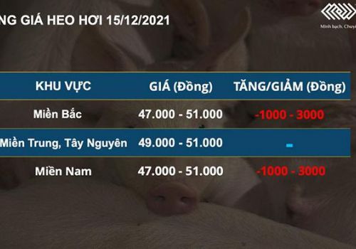 Thị trường nông sản phân hóa, nhập khẩu thức ăn chăn nuôi suy giảm