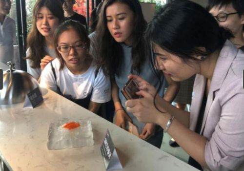 Trung Quốc nuôi cấy thịt lợn đen bản địa thành công