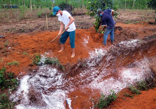 Kon Tum tiêu hủy 1.700 con gia cầm do mắc cúm H5N1