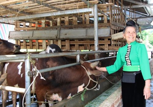 Giá sản phẩm chăn nuôi (giá tại trại) cả nước ngày 26/4/2022