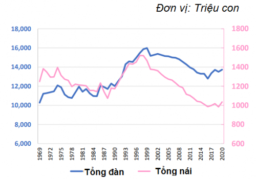 Ngành thịt heo Pháp: “Nhắm” Việt Nam là điểm đến tiềm năng