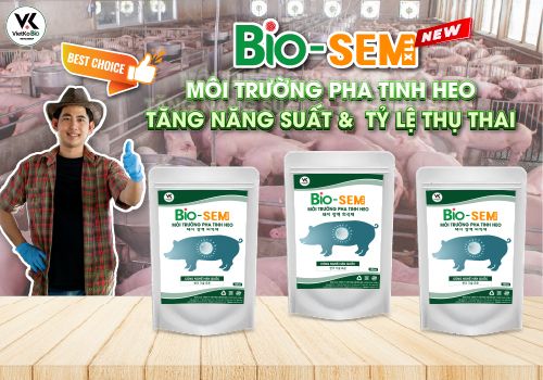 Môi trường Pha tinh dạng lỏng - Môi trường Bio - SEM