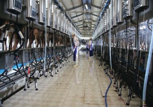 Bà Rịa - Vũng Tàu: 439 cơ sở nông nghiệp ứng dụng công nghệ cao