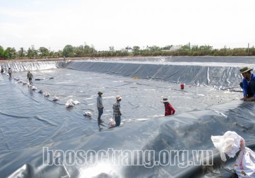 Giải pháp phòng trị bệnh bào tử trùng trên tôm