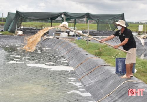 Hà Tĩnh: Chủ động bảo vệ tôm nuôi trước ảnh hưởng của mưa lớn