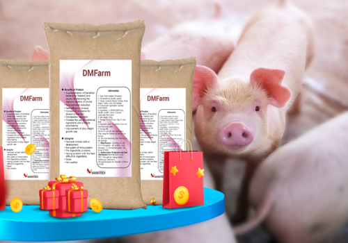 BAO GIỜ GIÁ HEO HƠI TĂNG TRỞ LẠI?