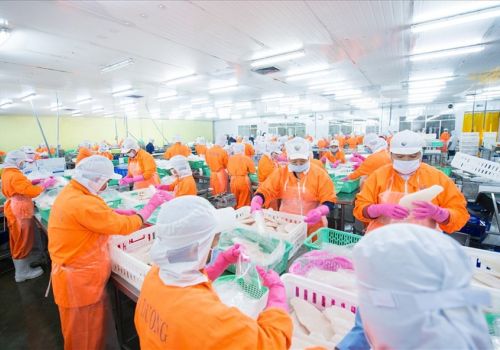 Nhiều doanh nghiệp thủy sản tăng trưởng mạnh trong tháng 9