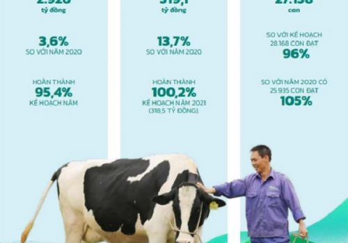 Mộc Châu Milk: Doanh thu thuần tăng nhẹ 3,6%