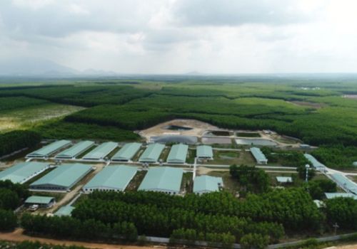 Nova Consumer đẩy mạnh mảng trang trại, kêu gọi hợp tác đầu tư