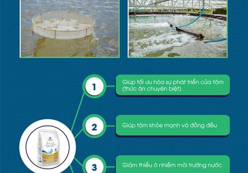 Cùng “Anh Ba Chuẩn” tìm hiểu sản phẩm Vana Nano