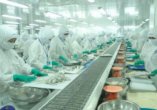 CP Việt Nam sẽ mua lên 24,9% cổ phần tại Sao Ta, PAN Group vẫn nắm trên 50%