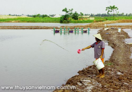 Sử dụng thuốc, hóa chất đúng cách