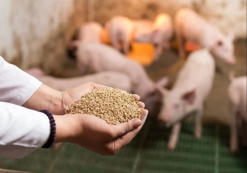 Thức ăn chăn nuôi giảm giá bán