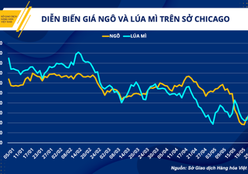 Giá nguyên liệu thức ăn chăn nuôi: Duy trì xu hướng giảm