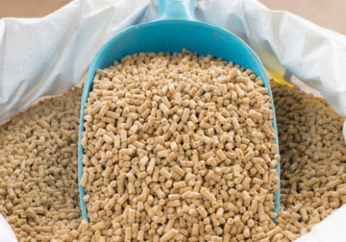 Giá thức ăn chăn nuôi giảm lần thứ 3 trong năm 2023