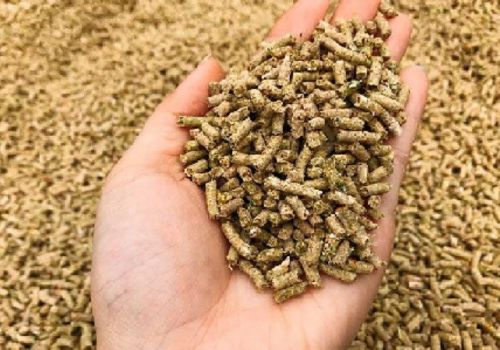 Kiểm soát giá thức ăn chăn nuôi: Cần áp dụng công nghệ cao để nâng cao hiệu quả sử dụng