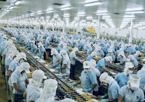 Xuất khẩu thủy sản nhiều lạc quan trong năm 2022