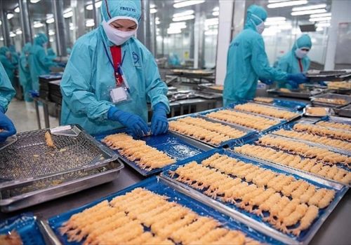 Tiềm năng xuất khẩu tôm năm 2022 rất lớn, nhưng không ít khó khăn