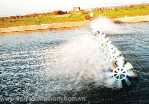 Ảnh hưởng của NH3 và DO đối với tôm nuôi