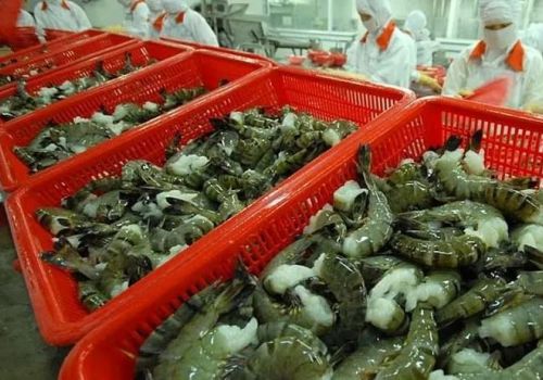 Xuất khẩu tôm: Ngoài Mỹ, Nhật và EU, còn những thị trường tiềm năng nào khác cho 2022?