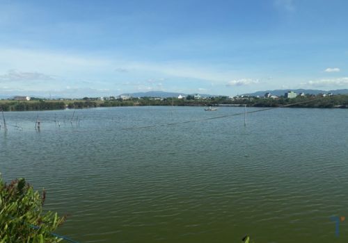 Bình Định: Hướng dẫn lịch thời vụ nuôi tôm nước lợ năm 2022