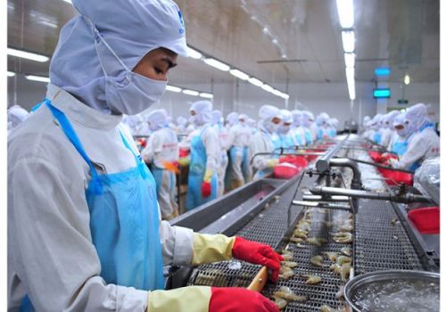 Bài học lớn của doanh nghiệp tôm Sóc Trăng năm 2021: Bình tĩnh, chủ động, dám nghĩ, dám làm