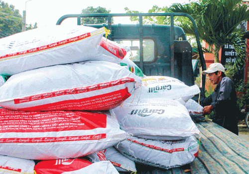 Giá thức ăn công nghiệp phục vụ chăn nuôi tăng cao