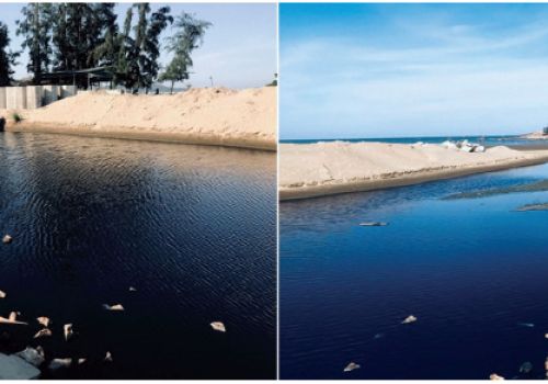 Bảo vệ môi trường trong nuôi tôm siêu thâm canh