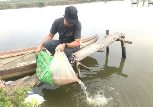 Giữ sạch môi trường nước “cứu cánh” của nghề nuôi tôm