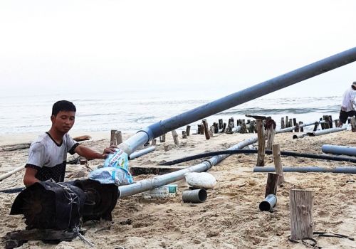 Bảo vệ tôm thẻ chân trắng