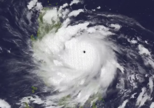 Công tác Phòng chống bão Noru bảo vệ vật nuôi