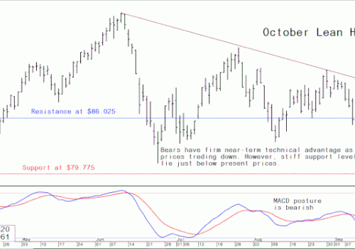 USDA: Dự báo giá thịt lợn tiếp tục giảm