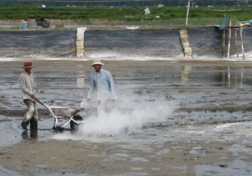 Quản lý bùn đáy ao tôm