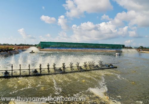 Cải thiện hiệu suất máy sục khí nuôi tôm