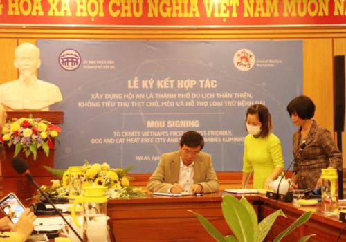 Hội An cam kết loại bỏ tiêu thụ thịt chó