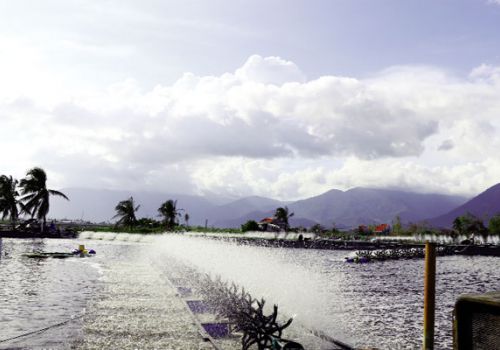 Quy trình cấp nước và các bước xử lý ban đầu trong ao tôm