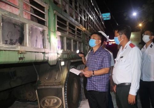 Thanh Hóa: 5 huyện công bố hết dịch bệnh tả lợn Châu Phi