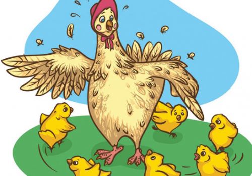 Chăn nuôi gia cầm: Khó khăn bủa vây