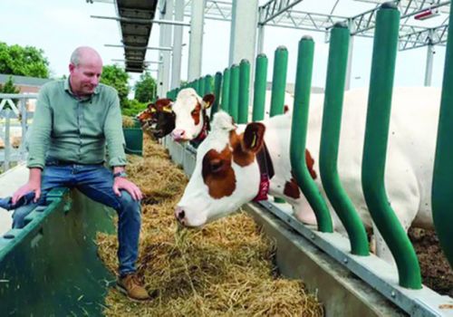 Ngành chăn nuôi Hà Lan chuyển hướng