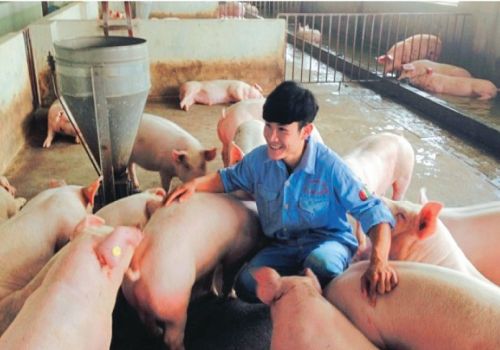 Bàn về khái niệm Phúc lợi động vật