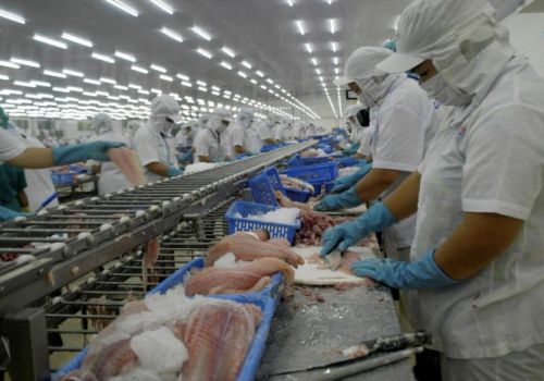 Xuất khẩu chao đảo vì đứt chuỗi cung ứng