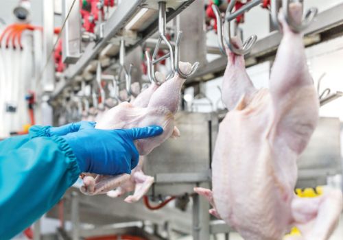 Giảm thiểu nhập khẩu, bảo vệ chăn nuôi